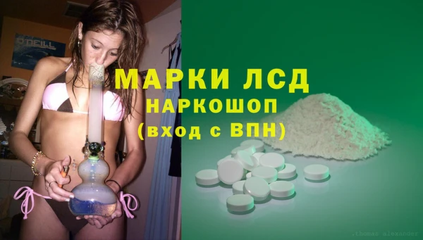 ешки Корсаков