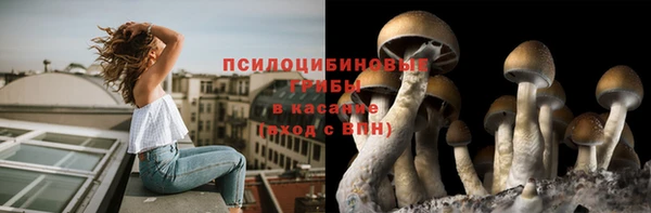 ешки Корсаков