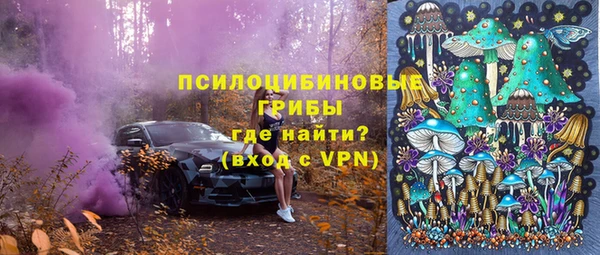 ешки Корсаков