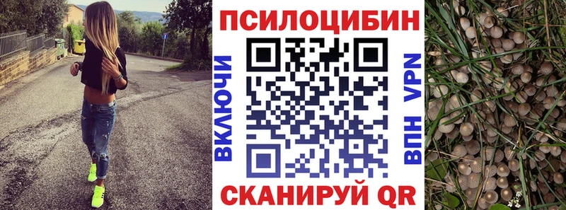 Галлюциногенные грибы ЛСД  Купить где  Новая Усмань 